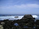 Pacific Grove and Montery Bay 010.jpg