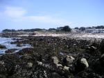 Pacific Grove and Montery Bay 013.jpg
