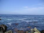 Pacific Grove and Montery Bay 018.jpg