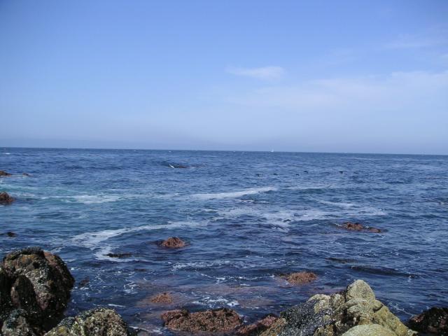 Pacific Grove and Montery Bay 018.jpg