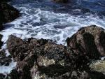 Pacific Grove and Montery Bay 019.jpg