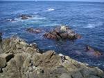 Pacific Grove and Montery Bay 026.jpg