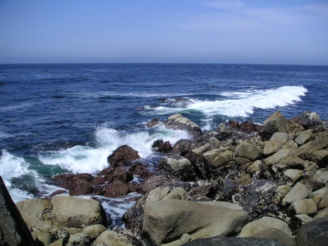 Pacific Grove and Montery Bay 034.jpg