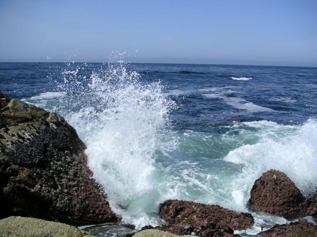 Pacific Grove and Montery Bay 040.jpg