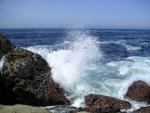 Pacific Grove and Montery Bay 042.jpg