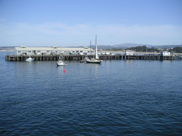 Pacific Grove and Montery Bay 046.jpg