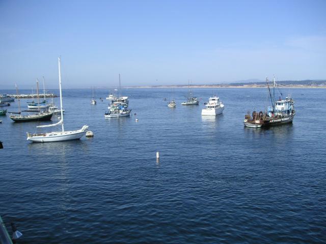 Pacific Grove and Montery Bay 047.jpg