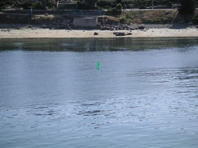 Pacific Grove and Montery Bay 057.jpg