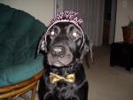 Duke wishing everyone a Happy New Year!