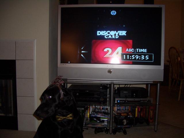 Duke sponsering the Discover Card