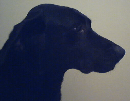 Noble Duke