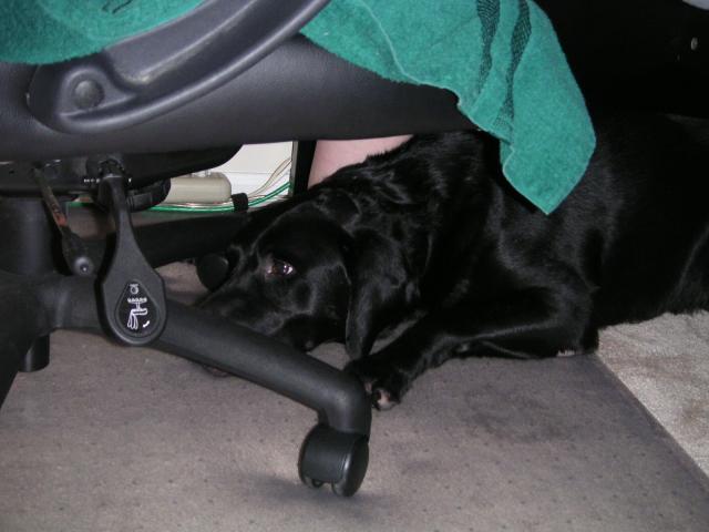 Duke 012.jpg
