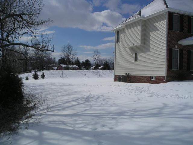 Feb 14 2007 Snow
