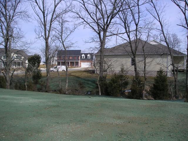 View from middle of back yard