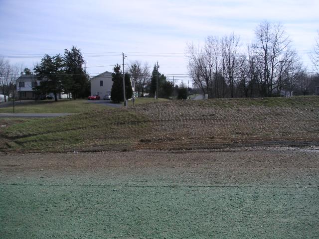 View from middle of back yard