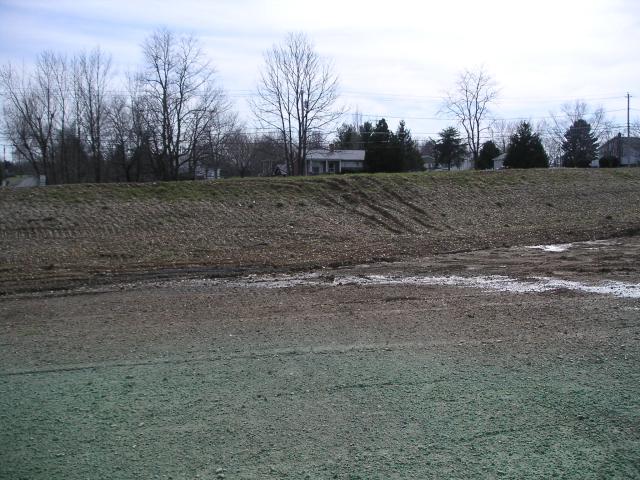 View from middle of back yard