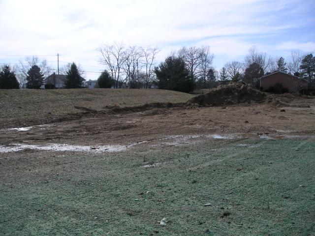 View from middle of back yard