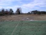 View from middle of back yard