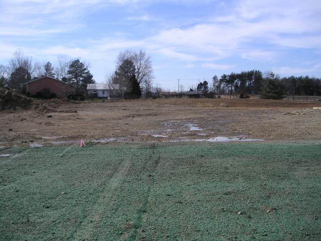 View from middle of back yard