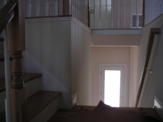 Looking down back half of stairs to the back door