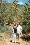 Sedona, AZ - June 2003