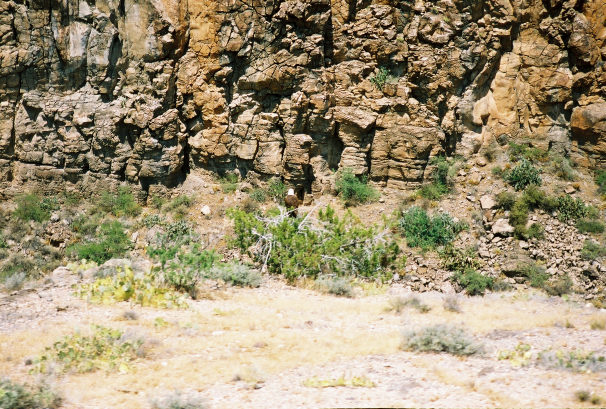 663082-R2-14_38.JPG