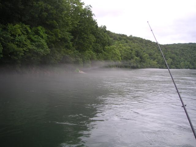 More fog... but such a fun day fishing!