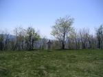 Snead Farm Hiking 040.jpg