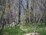 Snead Farm Hiking 043.jpg
