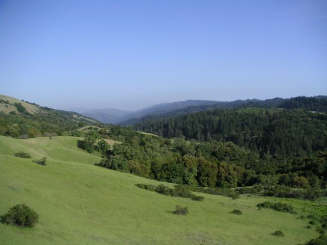 Monte Bello Free Range Reserve 001.jpg