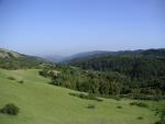 Santa Cruz Mountains, CA Short Hike