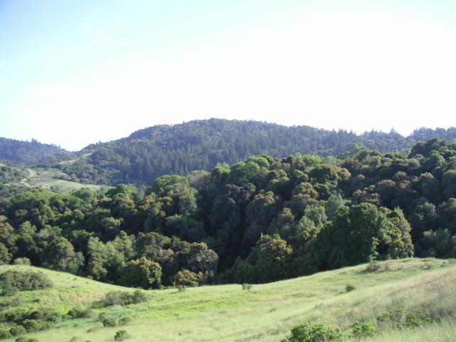 Monte Bello Free Range Reserve 002.jpg