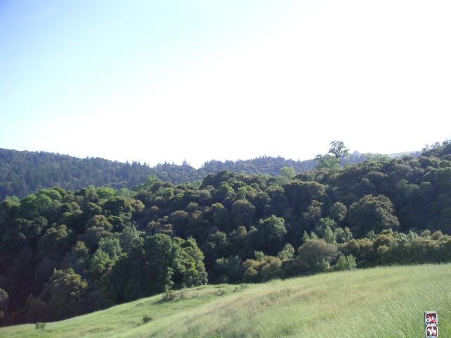 Monte Bello Free Range Reserve 003.jpg