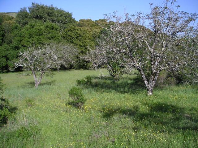Monte Bello Free Range Reserve 008.jpg