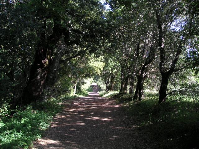 Monte Bello Free Range Reserve 009.jpg