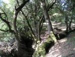 Monte Bello Free Range Reserve 013.jpg