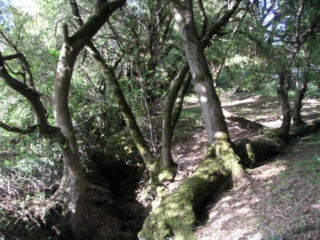 Monte Bello Free Range Reserve 013.jpg