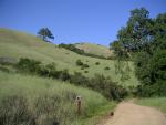 Monte Bello Free Range Reserve 014.jpg