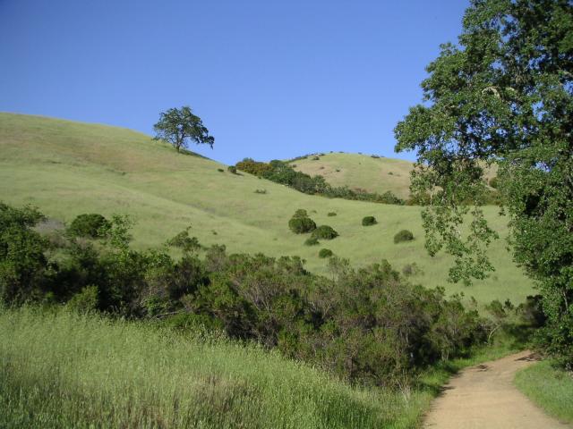 Monte Bello Free Range Reserve 015.jpg