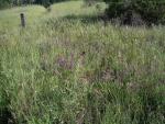 Monte Bello Free Range Reserve 016.jpg