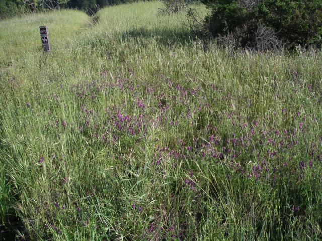 Monte Bello Free Range Reserve 016.jpg