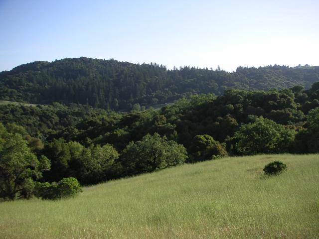 Monte Bello Free Range Reserve 019.jpg