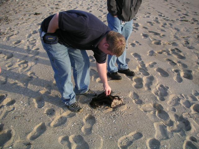 Half Moon Bay Beach 046.jpg