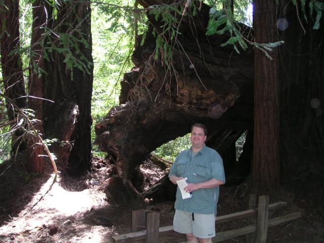 Big Bason Redwood Park 026.jpg