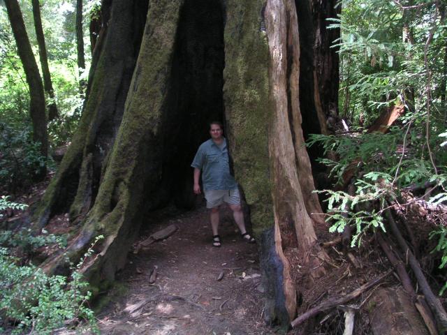 Big Bason Redwood Park 033.jpg