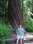 Big Bason Redwood Park 041.jpg