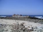 Pacific Grove and Montery Bay 007.jpg